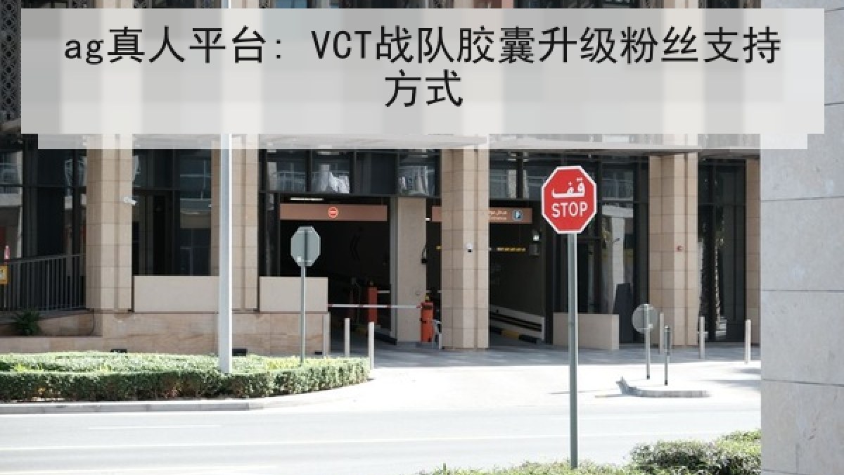 ag真人平台: VCT战队胶囊升级粉丝支持方式