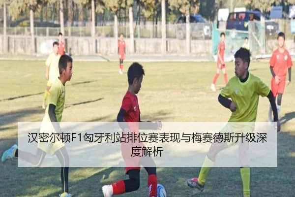 汉密尔顿F1匈牙利站排位赛表现与梅赛德斯升级深度解析