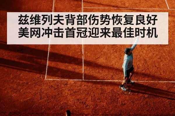 兹维列夫背部伤势恢复良好美网冲击首冠迎来最佳时机