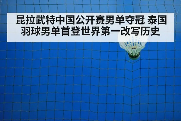 badminton net shot